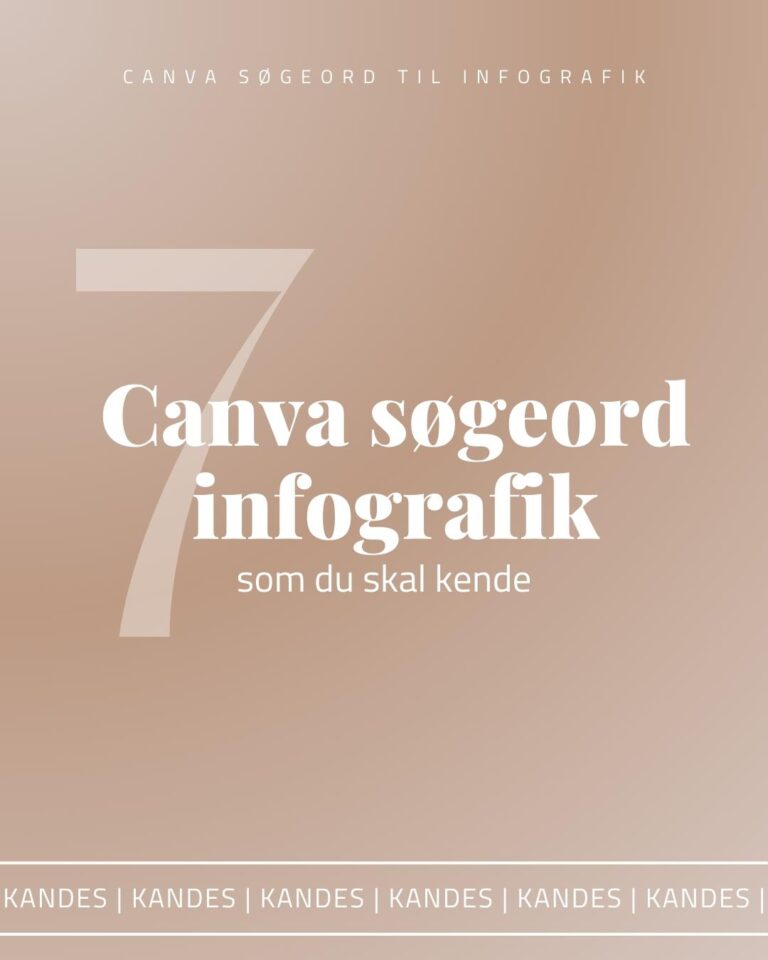 Canva søgeord til infografik